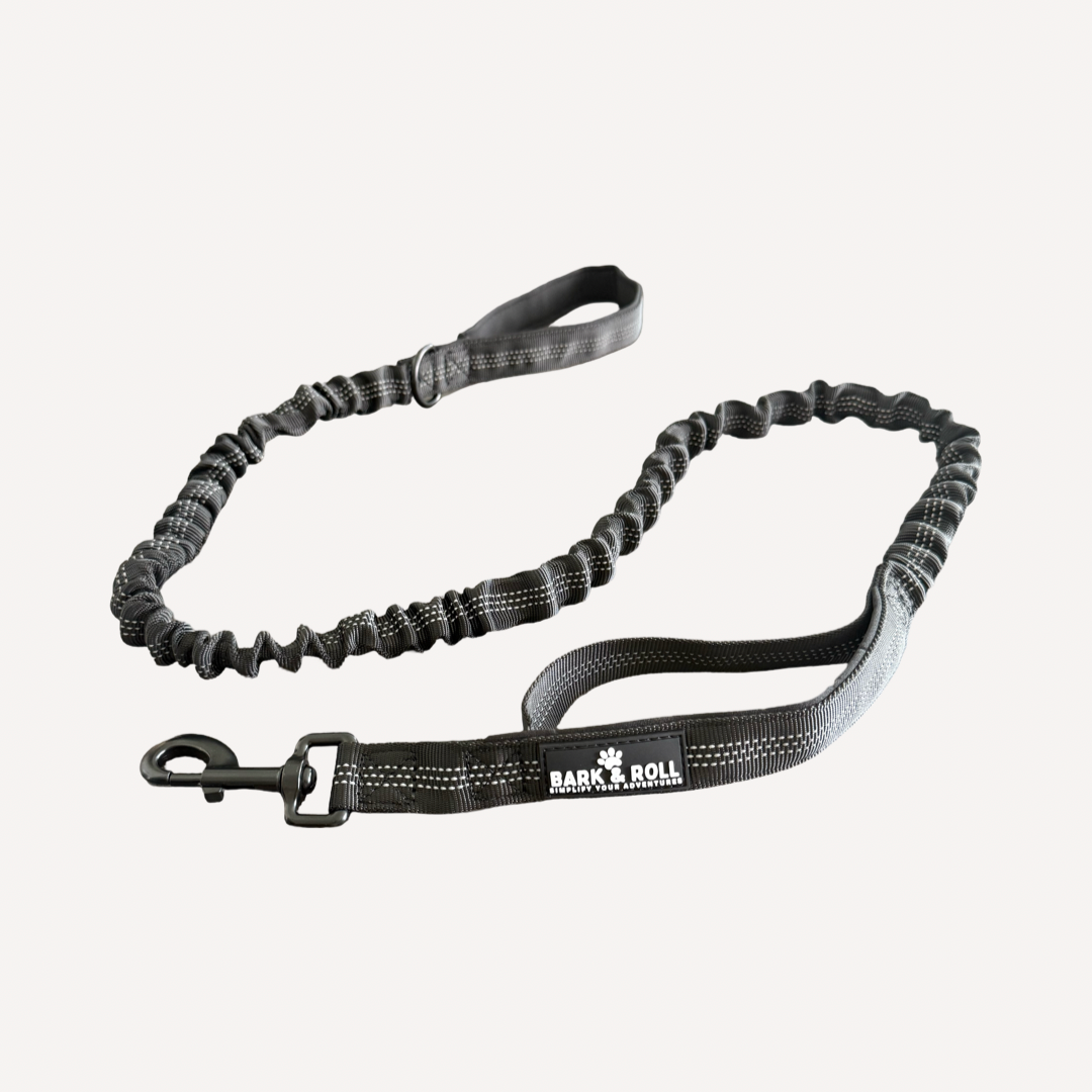 Dual Handle Elastic Lead