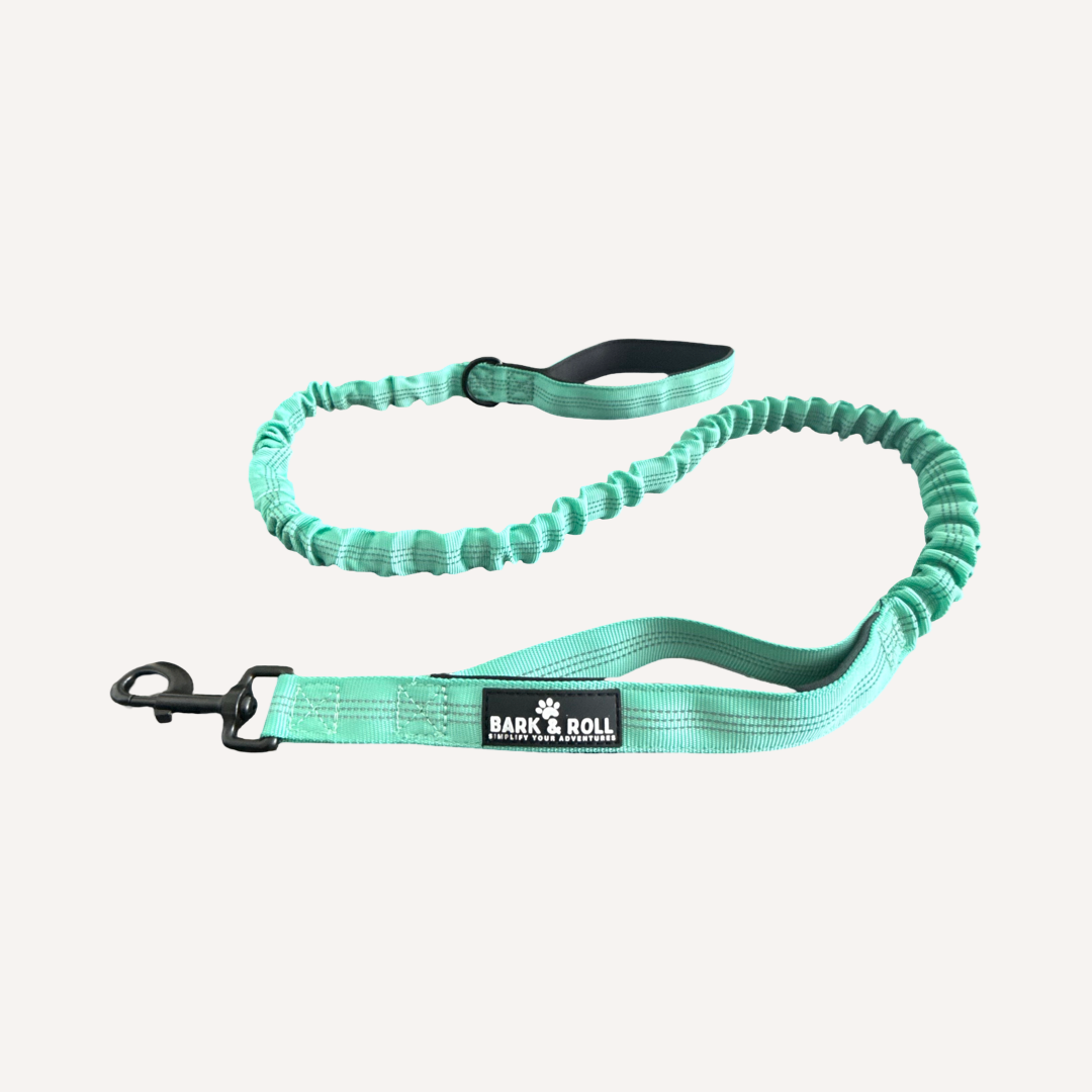 Dual Handle Elastic Lead