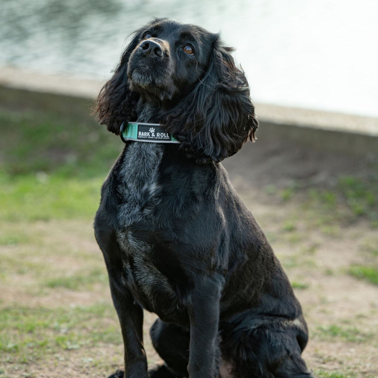 Adventure Collar