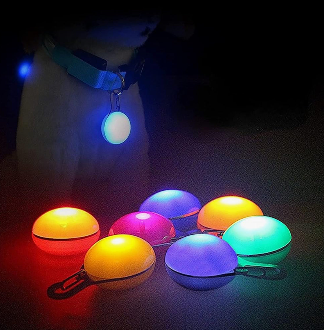 Pet safety light