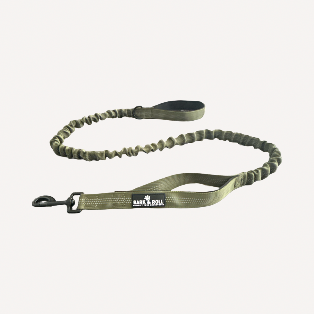 Dual Handle Elastic Lead
