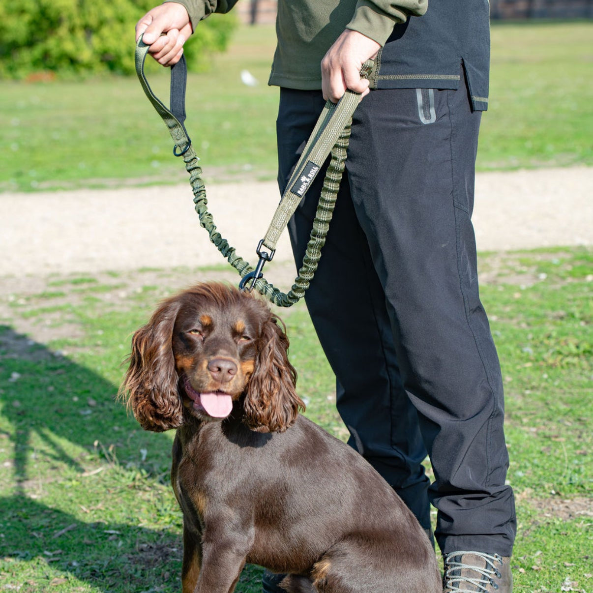 Dual Handle Elastic Lead