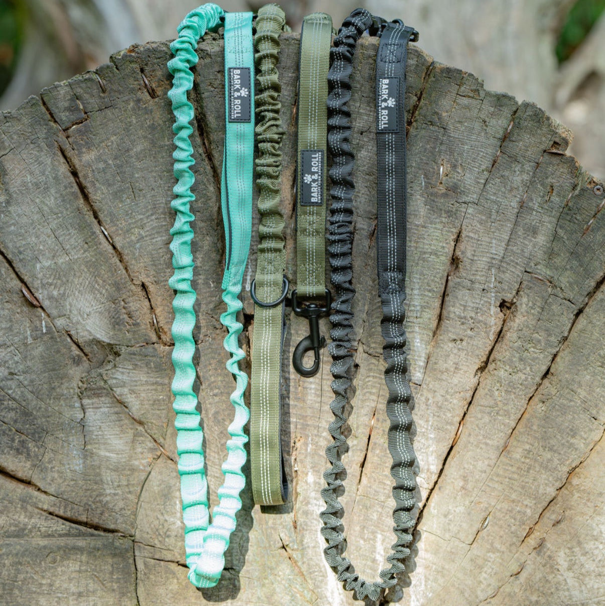 Dual Handle Elastic Lead