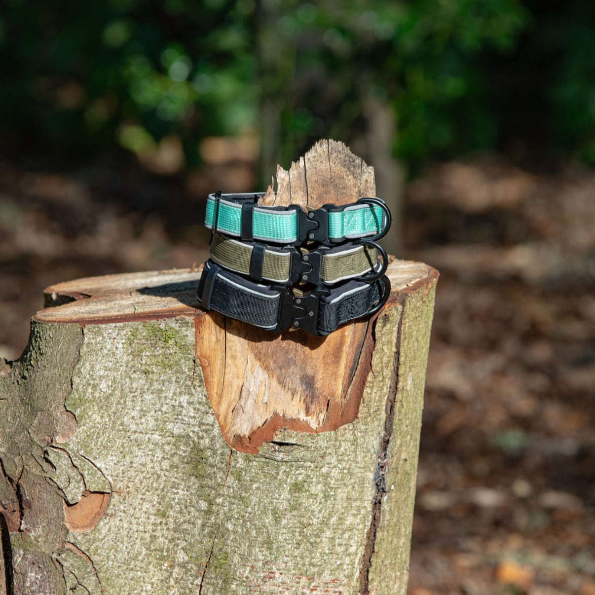 Adventure Collar