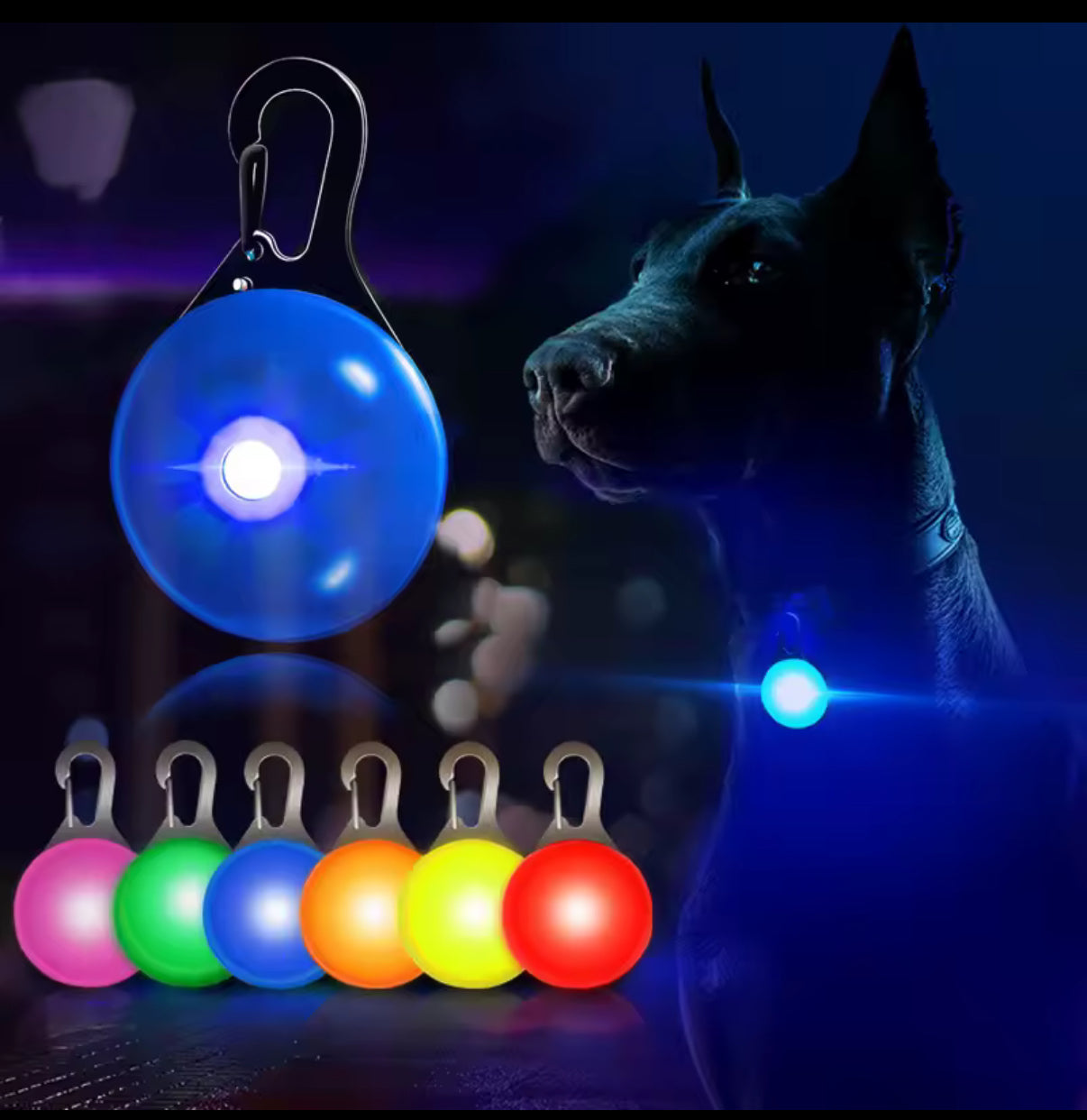 Pet safety light